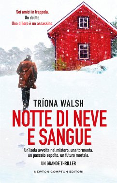 Notte di neve e sangue (eBook, ePUB) - Walsh, Tríona