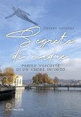 Segreto di madre (eBook, ePUB)