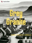 Grey Granite (eBook, ePUB)