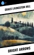 Bright Arrows (eBook, ePUB) - Bild 1