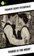 Tender Is the Night (eBook, ePUB) - Bild 1