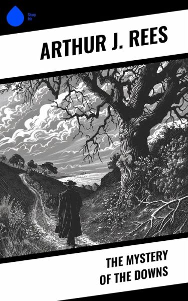 The Mystery of the Downs (eBook, ePUB)