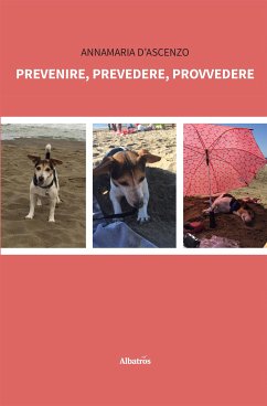 Prevenire, prevedere, provvedere (eBook, ePUB) - D’Ascenzo, Annamaria