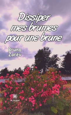 Dissiper mes brumes pour une brune (eBook, ePUB) - Zarev, Bruno