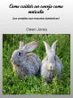 Cómo cuidar un conejo como mascota... - Bild 1