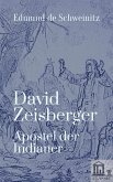David Zeisberger (eBook, ePUB)