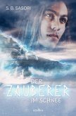 Der Zauberer im Schnee (eBook, ePUB)