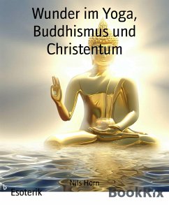Wunder im Yoga, Buddhismus und Christentum (eBook, ePUB) - Horn, Nils