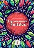 A Terra Dos Meninos Pelados (eBook, ePUB)