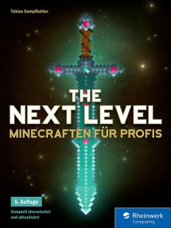 The Next Level (eBook, PDF) - Sumpfhütter, Tobias