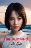 The Twinkle & The Code (eBook, ePUB)