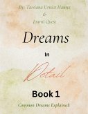 Dreams in Detail Book 1 (eBook, ePUB) Dreams in Detail Book 1 (eBook, ePUB)