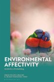 Environmental Affectivity (eBook, ePUB)