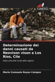 Determinazione dei danni causati da Neovison vison a Los Rios, Cile