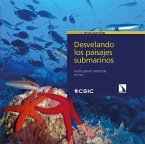 Desvelando los paisajes submarinos