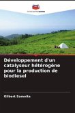 Développement d'un catalyseur hétérogène pour la production de biodiesel