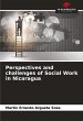 Perspectives and challenges of Social... - Bild 1