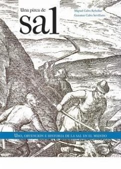 Cover Una pizca de sal.