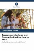 Zusammenstellung der Gesundheitssituation in Peru