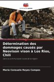 Détermination des dommages causés par Neovison vison à Los Rios, Chili