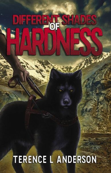 Different Shades of Hardness (eBook, ePUB) Different Shades of Hardness (eBook, ePUB)