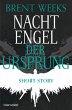 Der Ursprung / Nachtengel Bd.3 (eBook,... - Bild 1