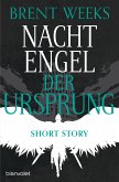 Der Ursprung / Nachtengel Bd.3 (eBook, ePUB)