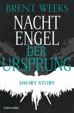 Der Ursprung / Nachtengel Bd.3 (eBook, ePUB) - Weeks, Brent