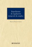 Expedientes de regulación temporal de empleo (eBook, ePUB)