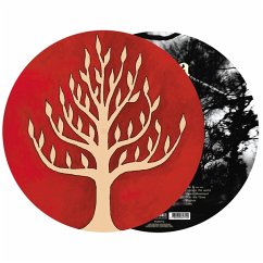 The Link (Picture-Vinyl) - Gojira