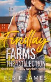 Findlay Farms the Collection (eBook, ePUB)