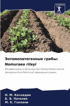 Jentomopatogennye griby: Nomuraea rileyi - Kachhadiq, N. M.;Patoliq, B. V.;Ghelani, M. K.