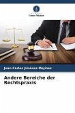 Andere Bereiche der Rechtspraxis