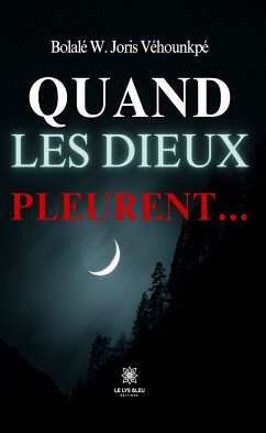 Quand les dieux pleurent… (eBook, ePUB) - Véhounkpé, Bolalé W. Joris