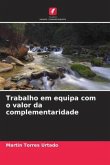 Trabalho em equipa com o valor da complementaridade