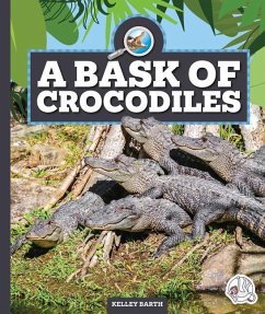 A Bask of Crocodiles - Barth, Kelley