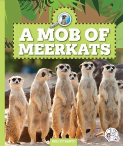 A Mob of Meerkats - Barth, Kelley