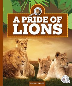 Cover A Pride of Lions