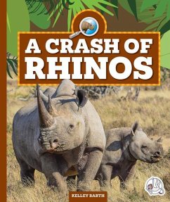 A Crash of Rhinos - Barth, Kelley