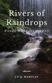 Rivers of Raindrops