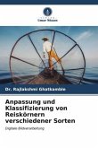 Anpassung und Klassifizierung von Reiskörnern verschiedener Sorten