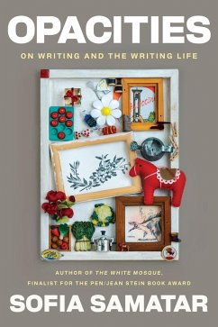 Cover Opacities (eBook, ePUB)