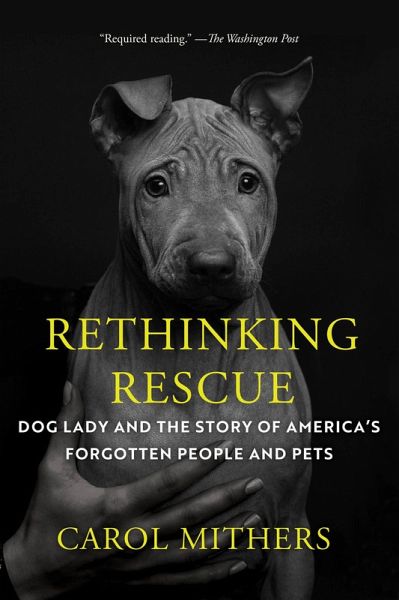 Rethinking Rescue (eBook, ePUB)