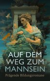 Auf dem Weg zum Mannsein: Prägende Bildungsromane (eBook, ePUB)