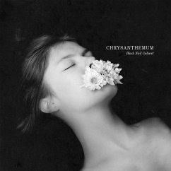 Chrysanthemum (2cd Hardcover Artbook) - Black Nail Cabaret