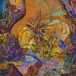 Cover Chytridiomycosis Relinquished (Jewel Case)