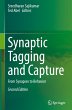 Synaptic Tagging and Capture - Bild 1