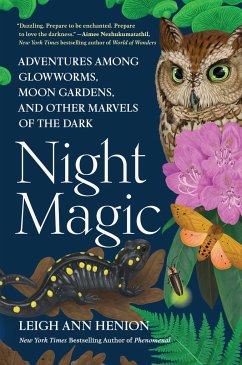 Night Magic - Henion, Leigh Ann