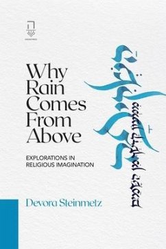 Why Rain Comes from Above - Steinmetz, Devora