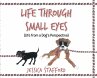 Through Small Eyes - Bild 1